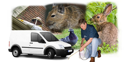 Cleveleys local van